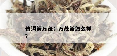 普洱茶万茂：万茂茶怎么样？