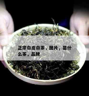 正宗白皮白茶，图片，是什么茶，品牌