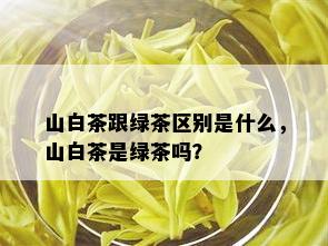 山白茶跟绿茶区别是什么，山白茶是绿茶吗？