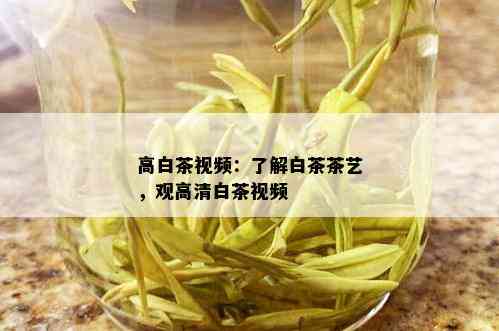 高白茶视频：了解白茶茶艺，观高清白茶视频