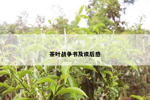 茶叶战争书及读后感