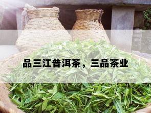 品三江普洱茶，三品茶业