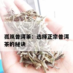 孤岚普洱茶：选择正宗普洱茶的秘诀