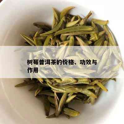 树莓普洱茶的价格、功效与作用