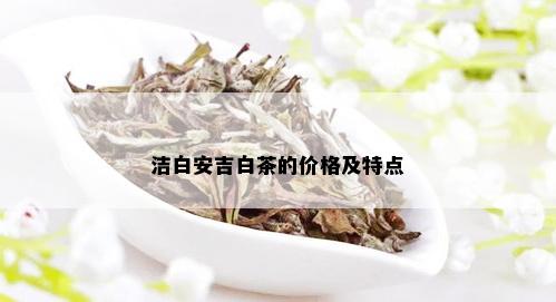 洁白安吉白茶的价格及特点