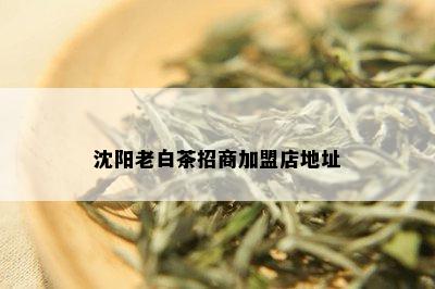 沈阳老白茶招商加盟店地址