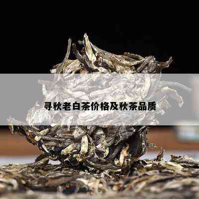 寻秋老白茶价格及秋茶品质