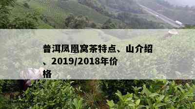 普洱凤凰窝茶特点、山介绍、2019/2018年价格