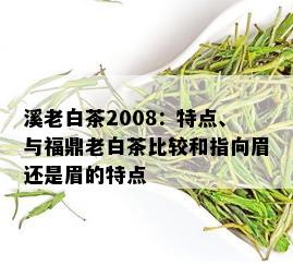 溪老白茶2008：特点、与福鼎老白茶比较和指向眉还是眉的特点