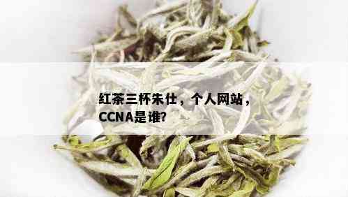 红茶三杯朱仕，个人网站，CCNA是谁？