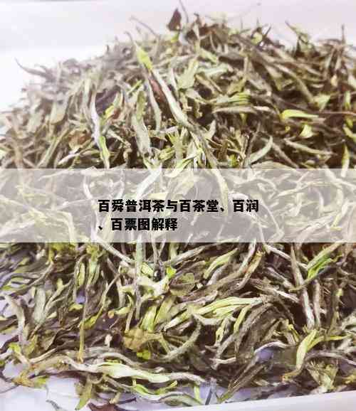 百舜普洱茶与百茶堂、百润、百票图解释