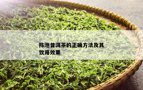 陈泡普洱茶的正确方法及其饮用效果