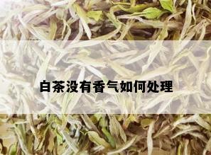 白茶没有香气如何处理