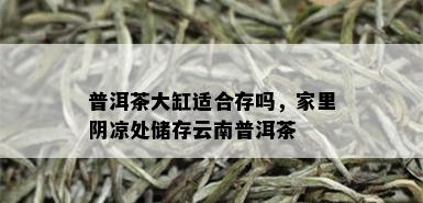 普洱茶大缸适合存吗，家里阴凉处储存云南普洱茶