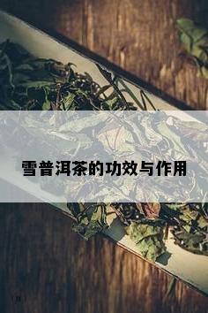 雪普洱茶的功效与作用