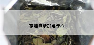 福鼎白茶加莲子心