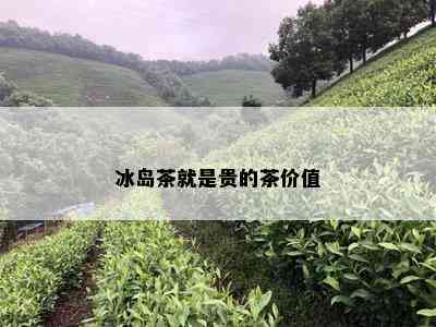 冰岛茶就是贵的茶价值