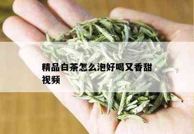 精品白茶怎么泡好喝又香甜视频