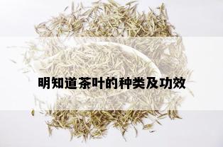 明知道茶叶的种类及功效