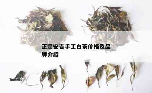 正宗安吉手工白茶价格及品牌介绍