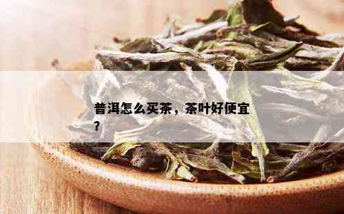 普洱怎么买茶，茶叶好便宜？