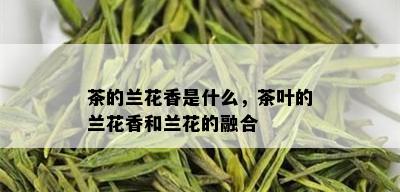 茶的兰花香是什么，茶叶的兰花香和兰花的融合