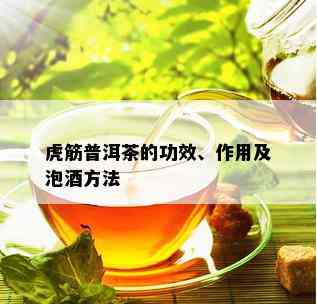 虎筋普洱茶的功效、作用及泡方法