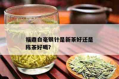 福鼎白毫银针是新茶好还是陈茶好喝？