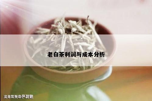 老白茶利润与成本分析