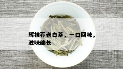 辉推荐老白茶，一口回味，滋味绵长