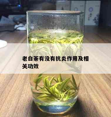 老白茶有没有抗炎作用及相关功效