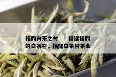 福鼎白茶之村——福建福鼎的白茶村，福鼎白茶村茶业