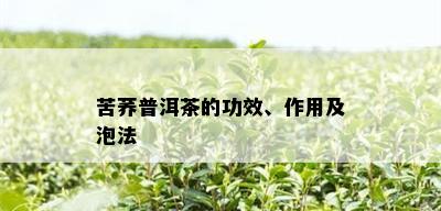 苦荞普洱茶的功效、作用及泡法