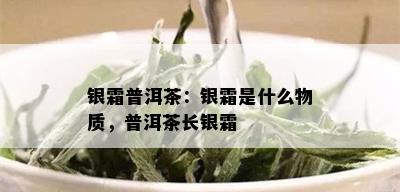 银霜普洱茶：银霜是什么物质，普洱茶长银霜