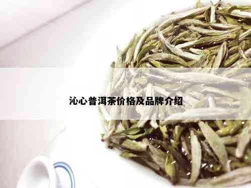 沁心普洱茶价格及品牌介绍