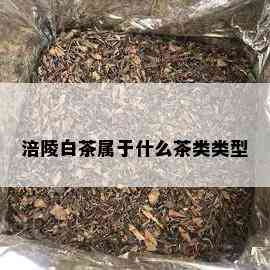 涪陵白茶属于什么茶类类型