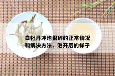 白牡丹冲泡很碎的正常情况和解决方法，泡开后的样子