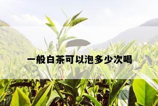 一般白茶可以泡多少次喝