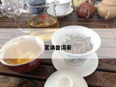 茗滇普洱茶