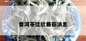 普洱茶佳欣最新消息