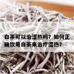 白茶可以治湿热吗？如何正确饮用白茶来治疗湿热？