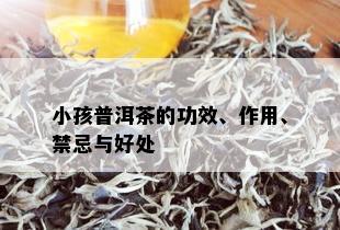 小孩普洱茶的功效、作用、禁忌与好处