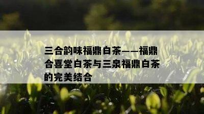 三合韵味福鼎白茶——福鼎合喜堂白茶与三泉福鼎白茶的完美结合