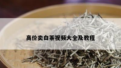 高价卖白茶视频大全及教程