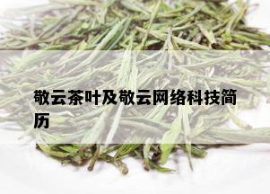 敬云茶叶及敬云网络科技简历