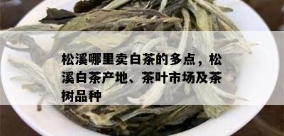 松溪哪里卖白茶的多点，松溪白茶产地、茶叶市场及茶树品种