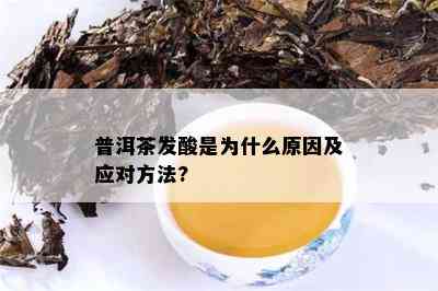 普洱茶发酸是为什么原因及应对方法?