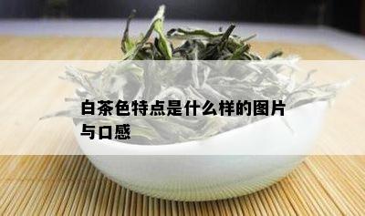 白茶色特点是什么样的图片与口感