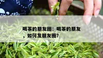 喝茶的朋友圈：喝茶的朋友，如何发朋友圈？