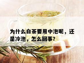 为什么白茶要用中泡呢，还是冷泡，怎么回事？